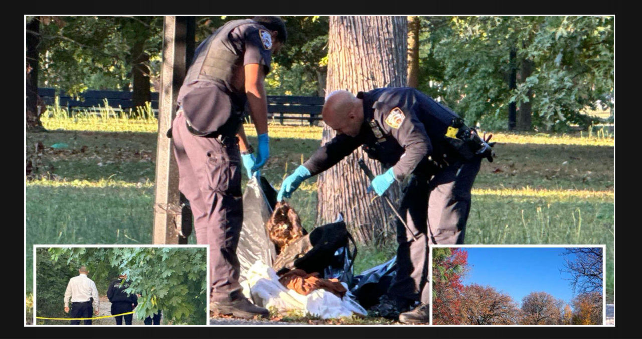 New York City park: Migrant man discovered hanging from tree had engaged in sexual activity with underage relative, a revelation recently discovered by the family, sources say